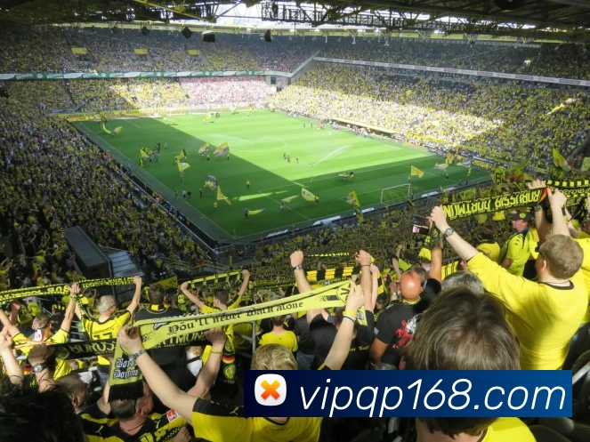 168棋牌官网平台生态图