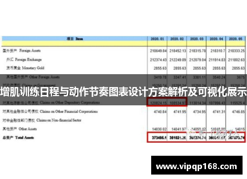 增肌训练日程与动作节奏图表设计方案解析及可视化展示